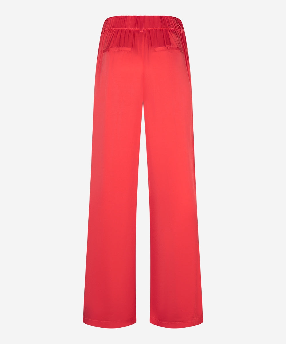 Pasha | Rosa Coral