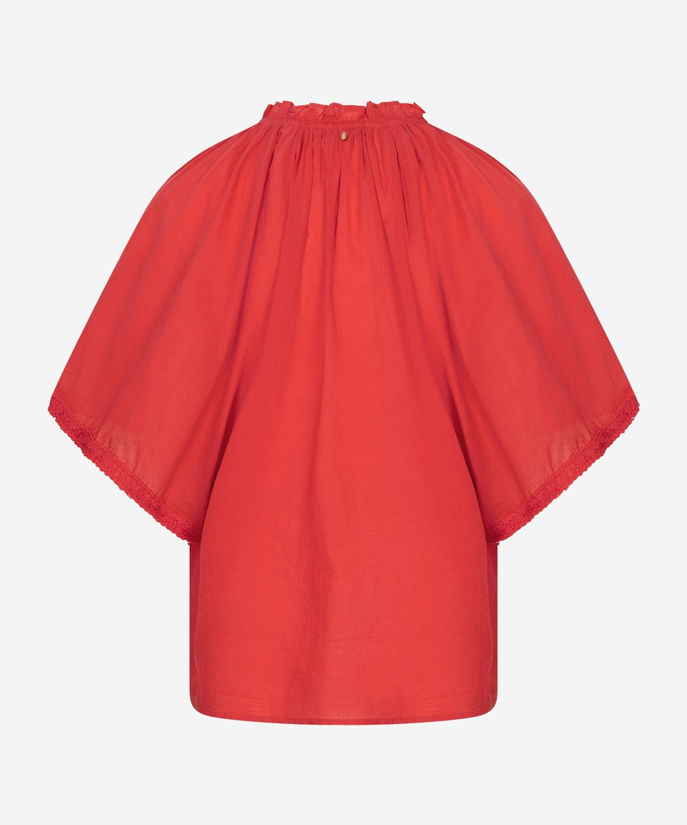 Tarina | Rosa Coral