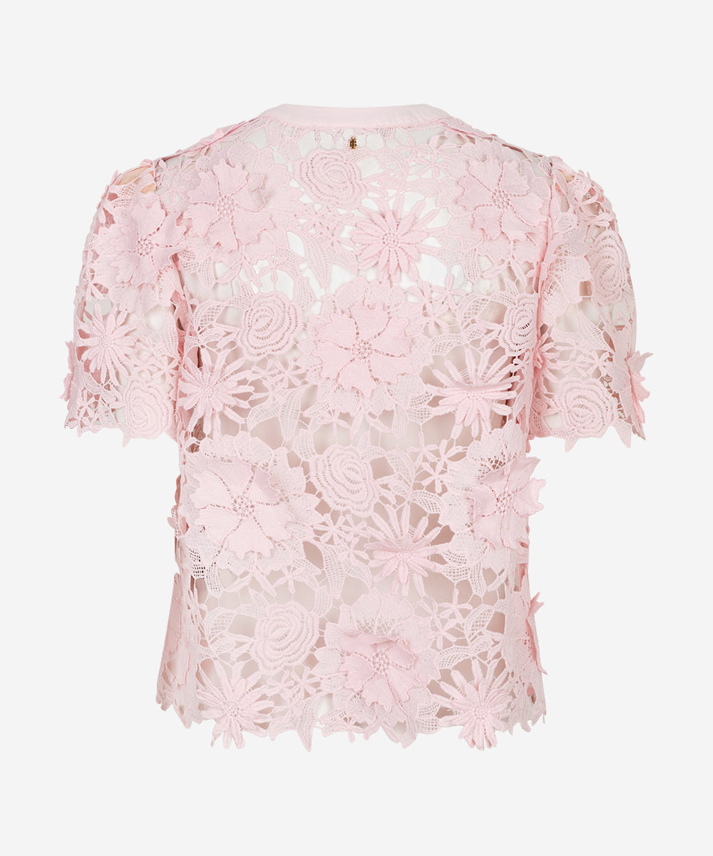 Teunie | Pastel Pink