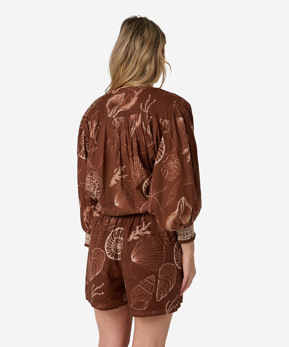 Tinca Shell | Shell Marrón